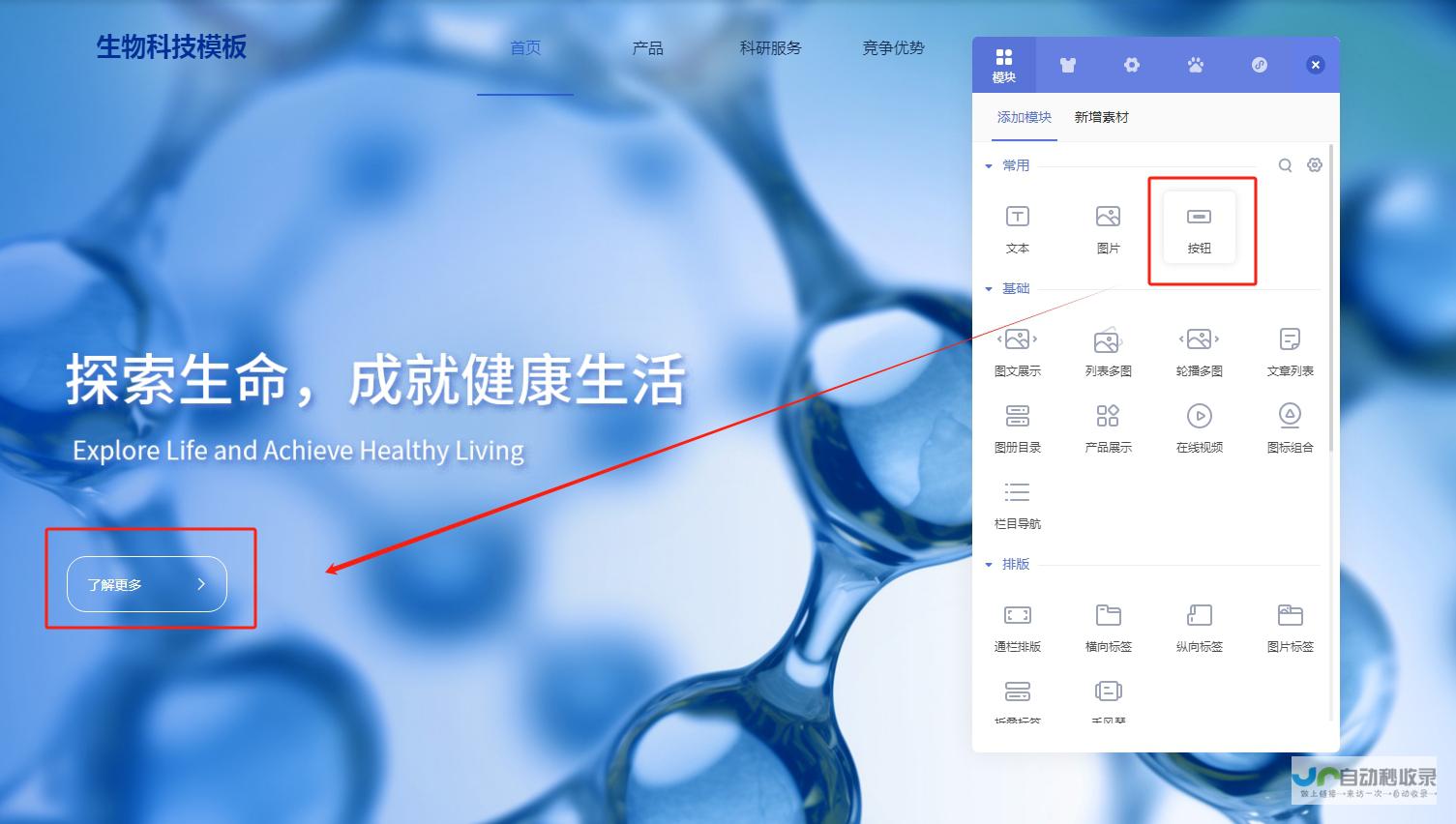 网站创建全攻略：从零开始构建您的线上世界